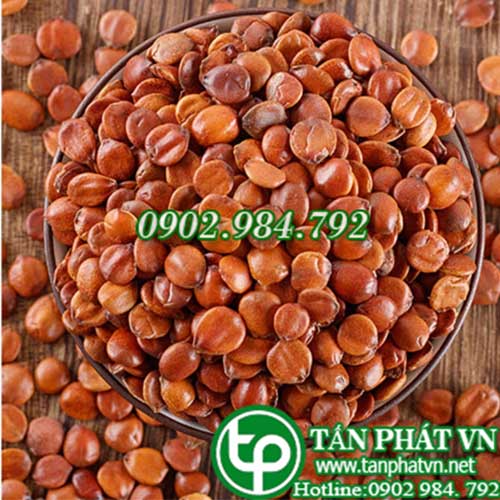 Địa Chỉ Mua Bán Táo Xa Nhân Tại TPHCM