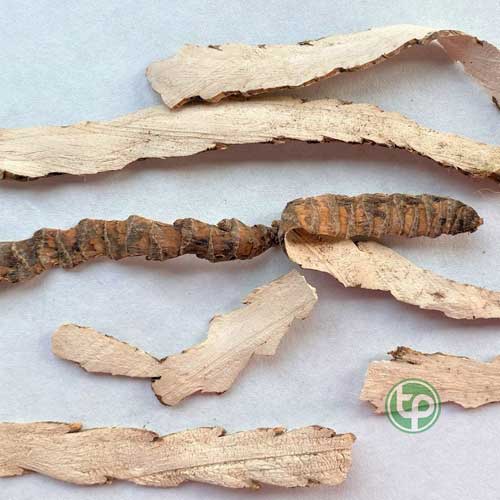 Địa Chỉ Mua Bán Thạch Xương Bổ Tại TPHCM