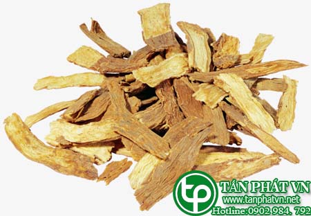 Bán Sỉ Tục Đoạn Tại HCM Ở Đâu? Bán Sỉ Tục Đoạn Tại HCM Ở Đâu?
