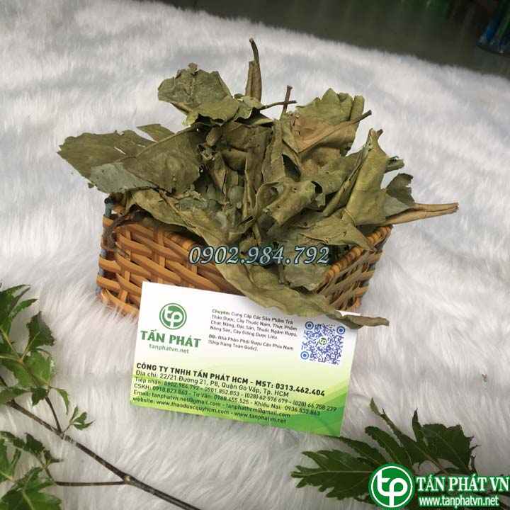 Địa Chỉ Mua Bán Lá Vối Khô Tại TPHCM