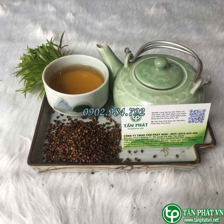 Bán Sỉ Nụ Vối Tại HCM Ở Đâu?