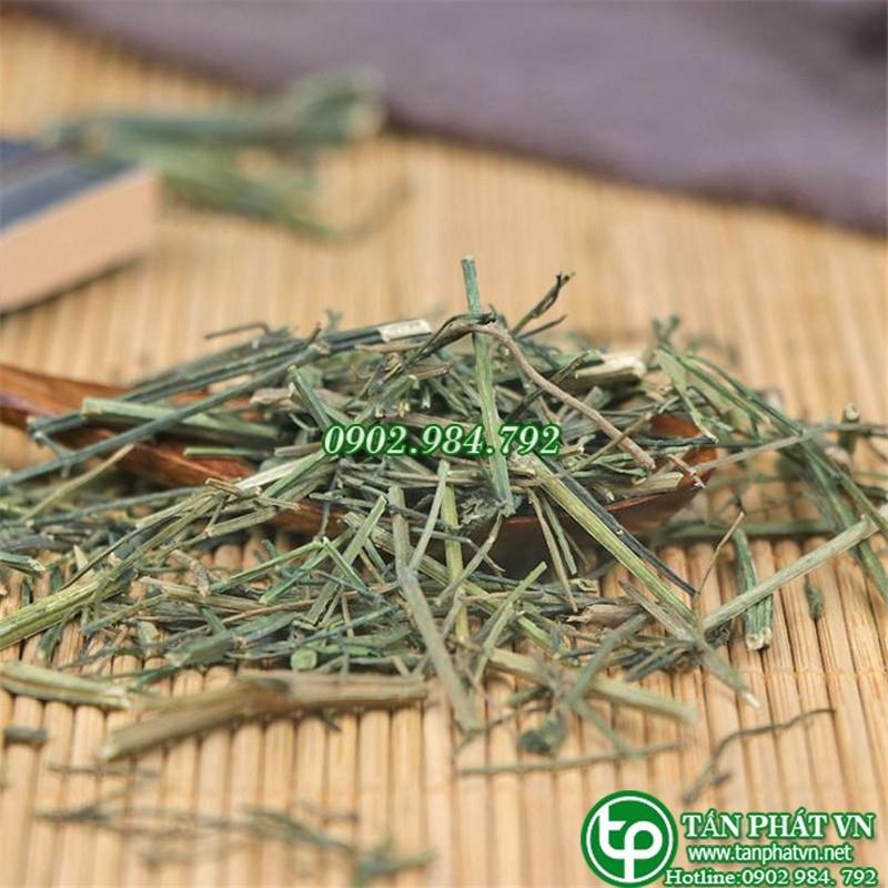 xuyên tâm liên quận 4 - Tấn Phát HCM