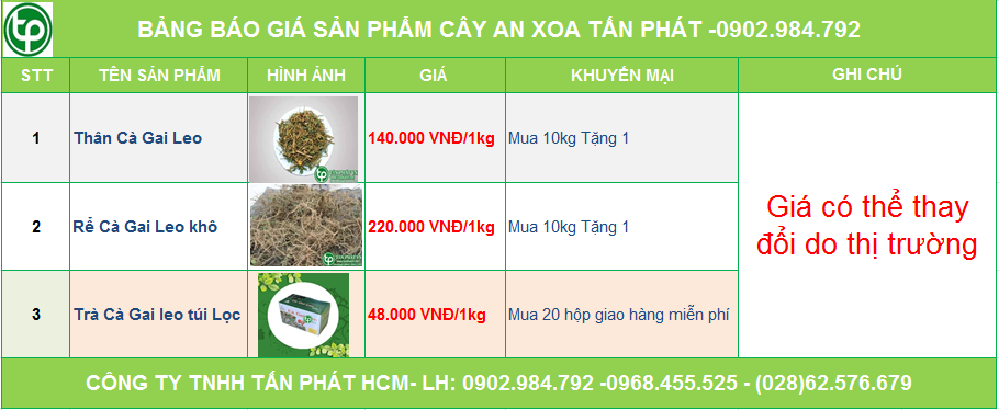 Bảng giá cà gai leo tại Cty Tấn Phát