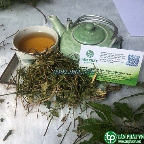 Công Ty Bán Chè Vằng Tại TP HCM?