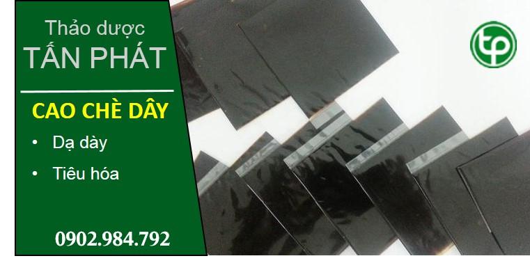 phân phối Cao chè dây tại tphcm