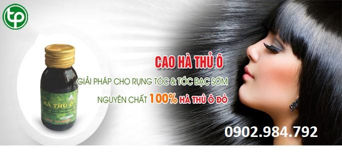 phân phối Cao hà thủ ô tại tphcm