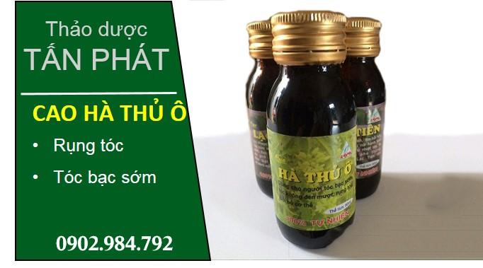 cung cấp Cao hà thủ ô tại tphcm
