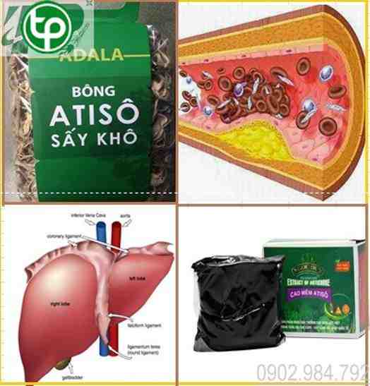 phân phối Cao hoa atiso tại tphcm