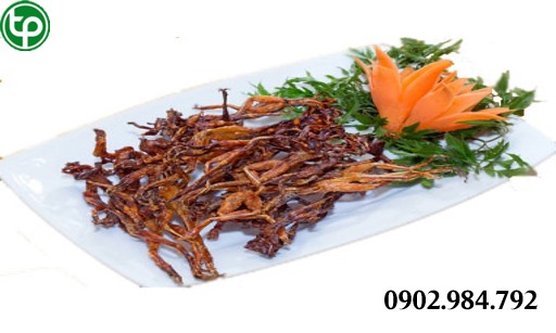 Công dụng  Khô nhái tại tphcm