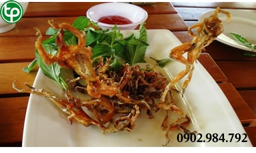 phân phối Khô nhái tại tphcm 