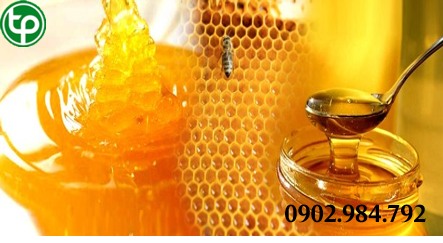 bảng giá Mật ong rừng tại tphcm 