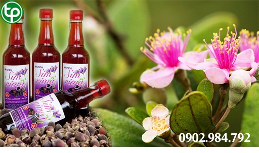 bảng giá Rượu vang sim rừng tại tphcm