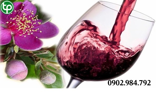 phân phối Rượu vang sim rừng tại tphcm