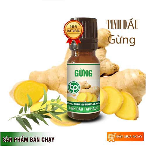 Công Ty Bán Tinh Dầu Gừng Tại TP HCM?