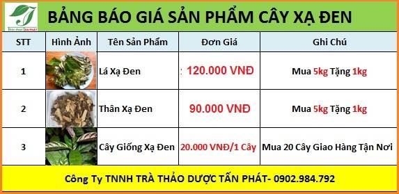 mua bán cây xạ đen tại tphcm
