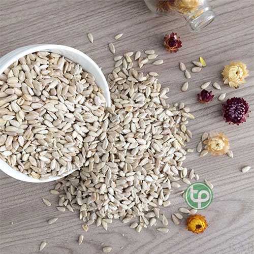 Nhân hạt hướng dương tấn phát