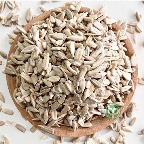 Công Ty Bán Sỉ Lẻ Nhân Hạt Hướng Dương Tại TP HCM? Công Ty Bán Sỉ Lẻ Nhân Hạt Hướng Dương Tại TP HCM?