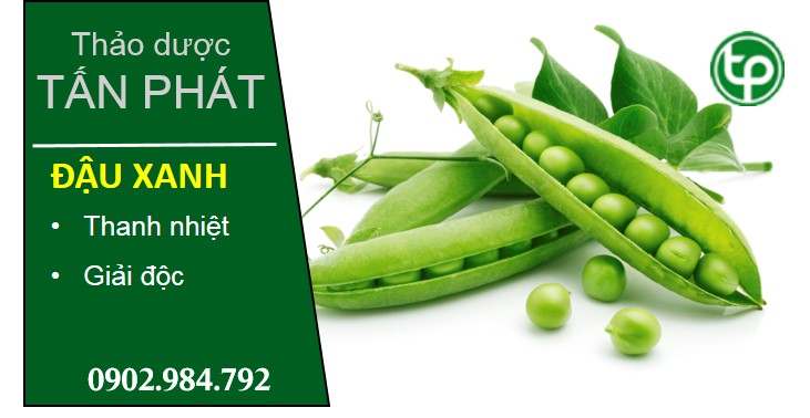 phân phối Đậu xanh tại tphcm phân phối Đậu xanh tại tphcm