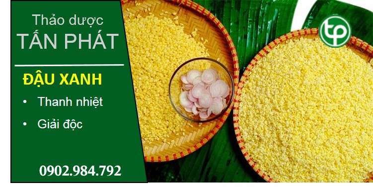 cung cấp Đậu xanh tại tphcm cung cấp Đậu xanh tại tphcm