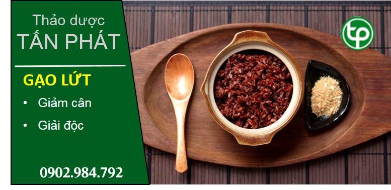 phân phối Gạo lứt tại tphcm