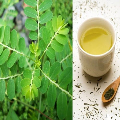 Địa Chỉ Bán Sỉ Lẻ Chó Đẻ Tươi Tại TP HCM?