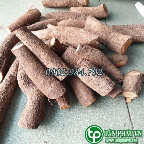 Hướng dẫn sử dụng củ gai tươi tại hcm