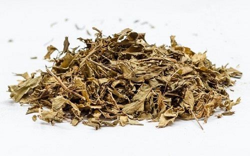 Địa Chỉ Bán Sỉ Lẻ Lá Đinh Lăng Tươi Tại TP HCM?
