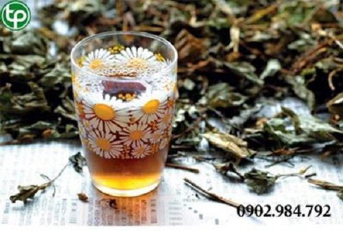 Địa Chỉ Bán Sỉ Lẻ Dừa Cạn Tươi Tại TP HCM?