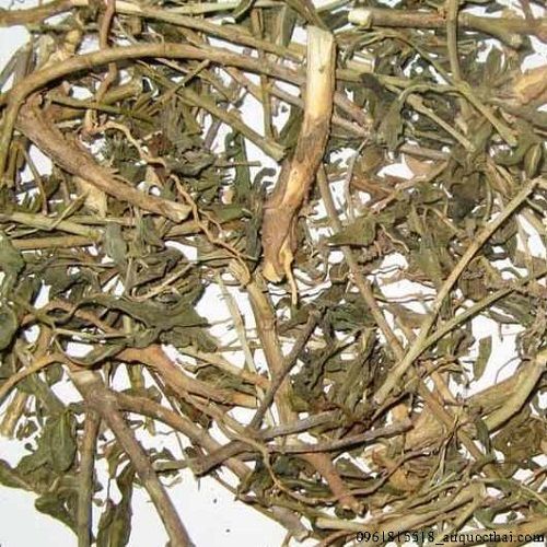 Địa Chỉ Bán Sỉ Lẻ Dừa Cạn Tươi Tại TP HCM?