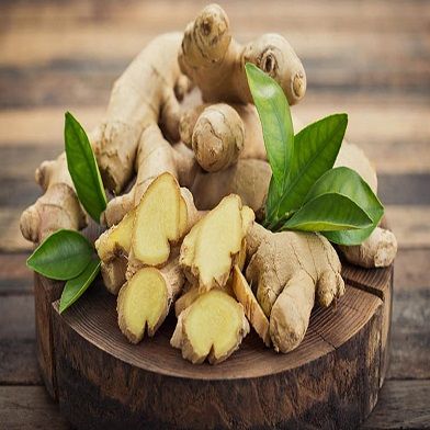 Địa Chỉ Bán Sỉ Lẻ Gừng Tươi Tại TP HCM?