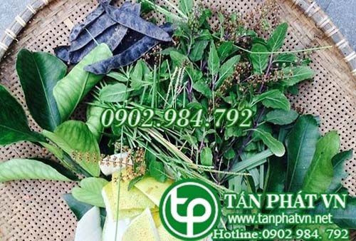 Địa Chỉ Bán Sỉ Lẻ Lá Bưởi Tươi Tại TP HCM?