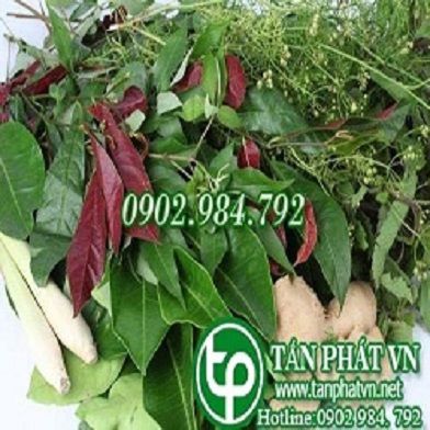 Địa Chỉ Bán Sỉ Lẻ Lá Bưởi Tươi Tại TP HCM?