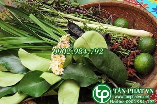 Địa Chỉ Bán Sỉ Lẻ Lá Bưởi Tươi Tại TP HCM?