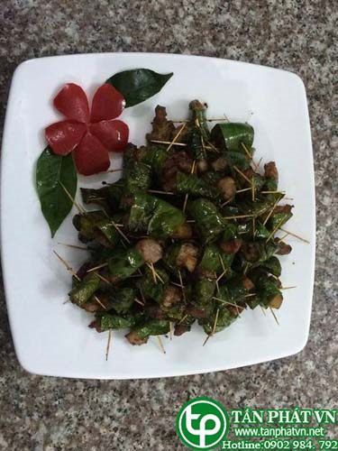 Mua Bán Sỉ Lẻ Lá Móc Mật Tươi Tại TP HCM?