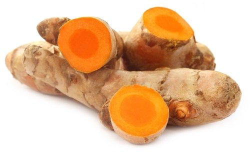 Địa Chỉ Bán Sỉ Lẻ Nghệ Tươi Tại TP HCM?