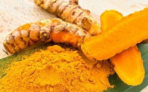 Địa Chỉ Bán Sỉ Lẻ Nghệ Tươi Tại TP HCM?