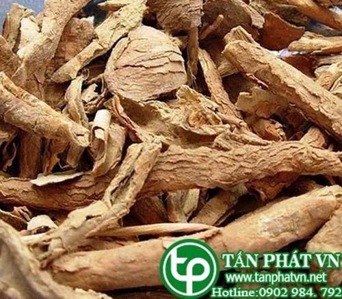 Địa Chỉ Bán Sỉ Lẻ Ngũ Gia Bì Tươi Tại TP HCM?