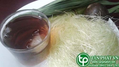 Địa Chỉ Bán Sỉ Lẻ Râu Bắp Tươi Tại TP HCM?