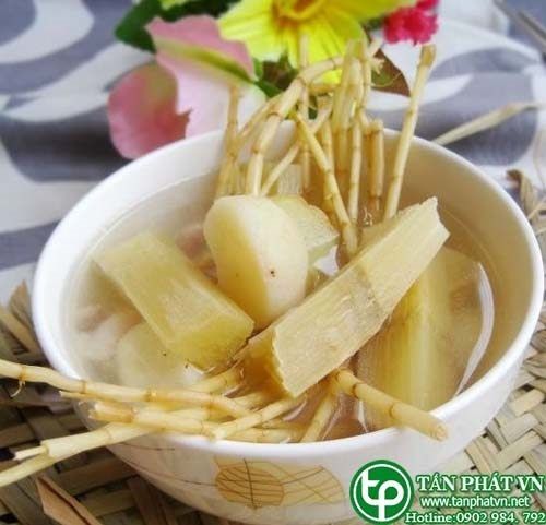 Địa Chỉ Bán Sỉ Lẻ Rể Cỏ Tranh Tươi Tại TP HCM?