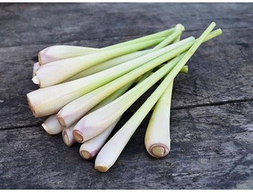 Địa Chỉ Bán Sỉ Lẻ Sả Tươi Tại TP HCM?