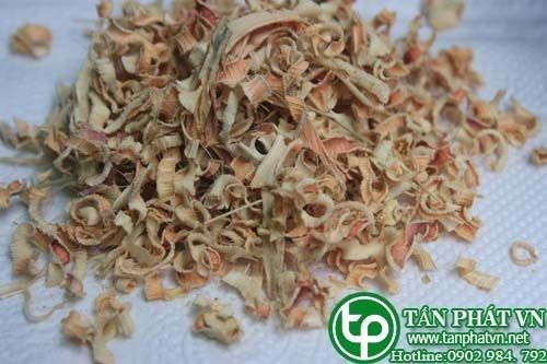 Địa Chỉ Bán Sỉ Lẻ Sả Tươi Tại TP HCM?