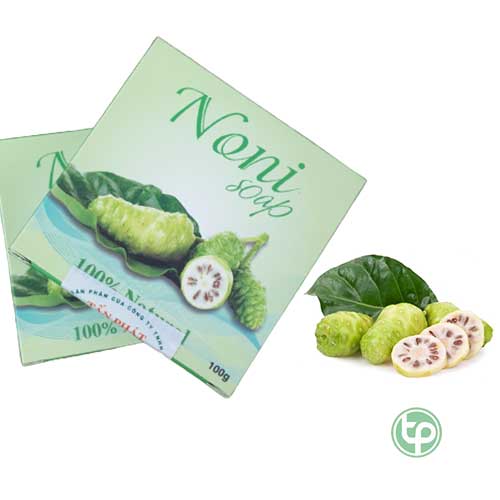 Địa chỉ bán xà bông trái nhàu tại TPHCM Địa chỉ bán xà bông trái nhàu tại TPHCM