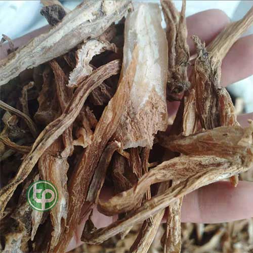 Công ty Bán Củ Bách Bộ Tại TP HCM? Công ty Bán Củ Bách Bộ Tại TP HCM?