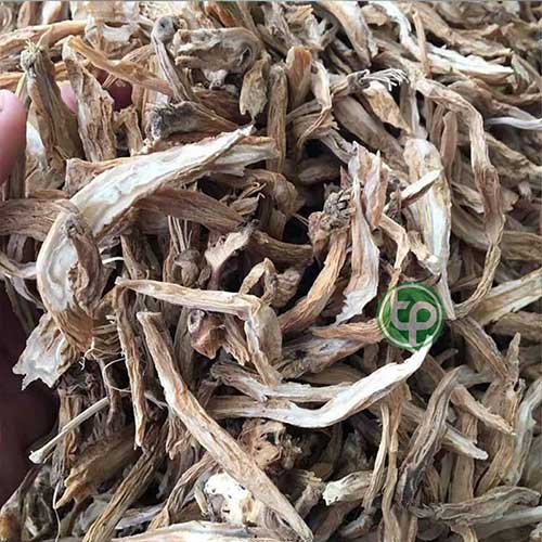 Công ty Bán Củ Bách Bộ Tại TP HCM? Công ty Bán Củ Bách Bộ Tại TP HCM?