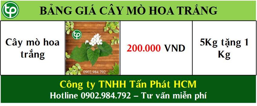 mua bán sỉ lẻ bạch đồng nữ tại tphcm