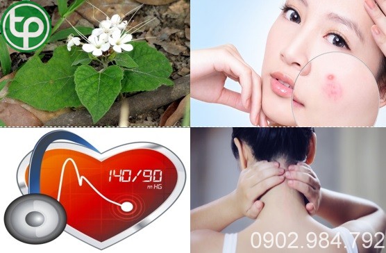 mua bán bạch đồng nữ tại tphcm