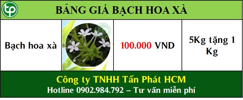 Bảng giá bạch hoa xà thiệt thảo tại tphcm