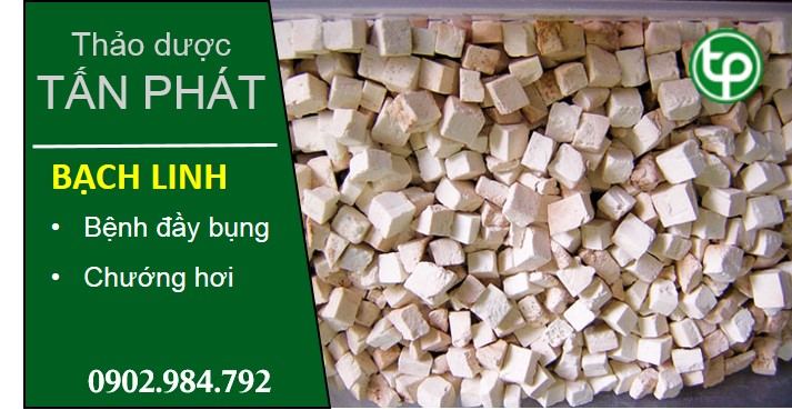 mua bán sỉ lẻ bạch linh tại tphcm