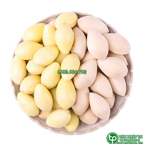 Địa Chỉ Mua Bán Bạch Quả Tại TPHCM