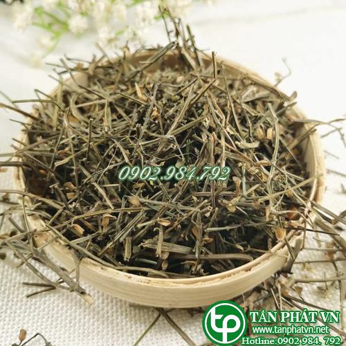 Công Ty Bán Bán Chi Liên Khô Tại TP HCM?
